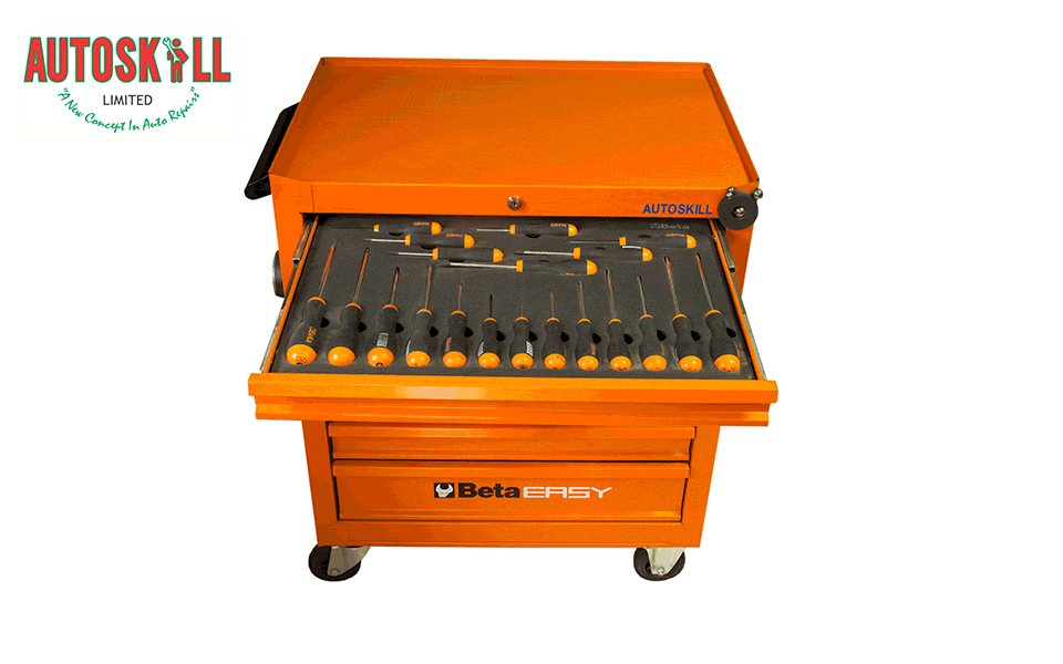 Autoskill has the tools to service your vehicle